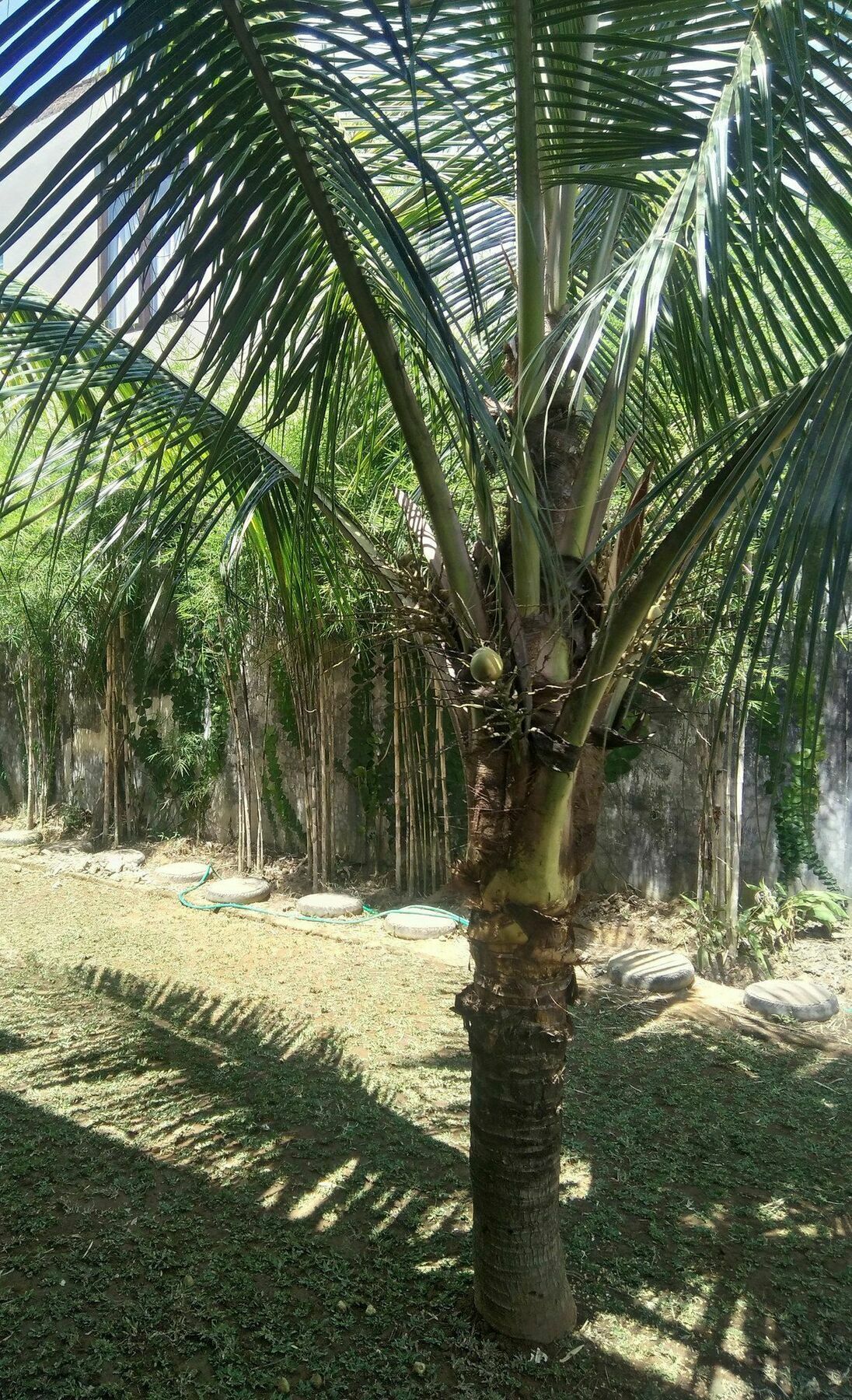 Sayan Ubud Guest House Exterior photo